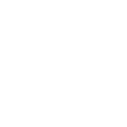 Godot Engine